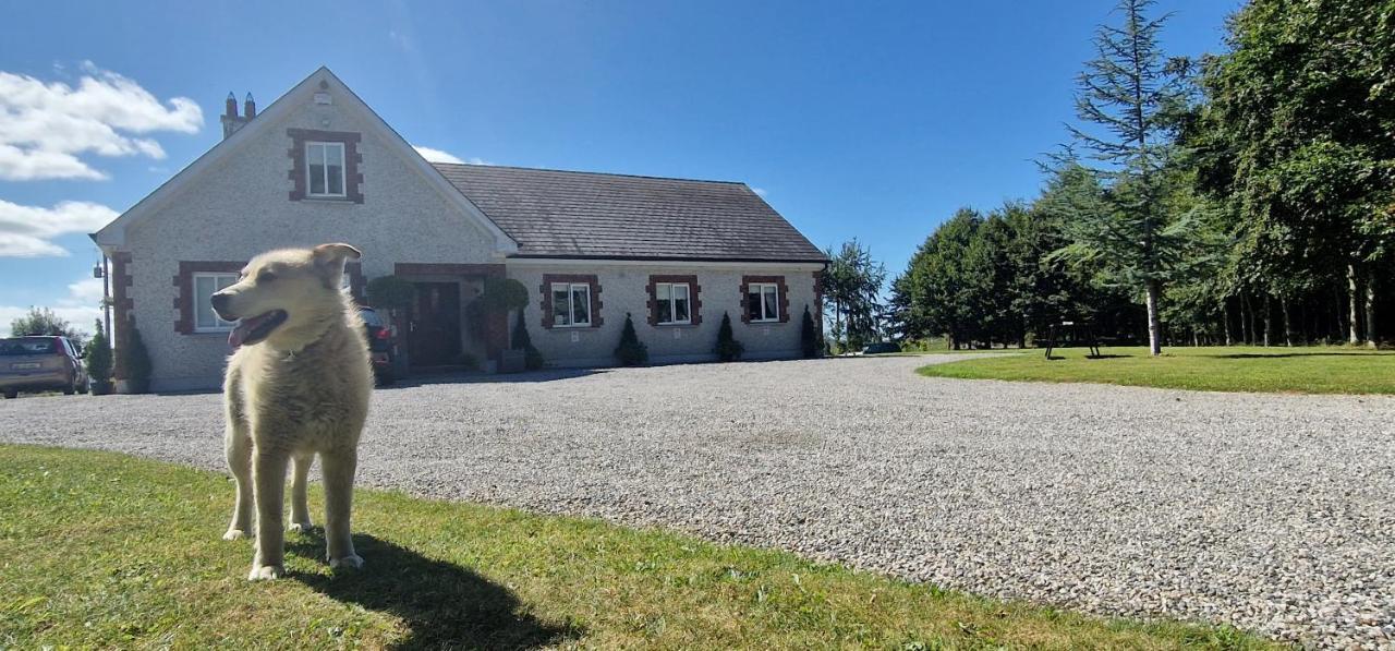 Littlefield B&B Durrow, Laois Dış mekan fotoğraf